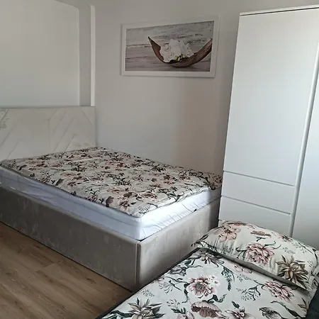 Coco * Ljubljana